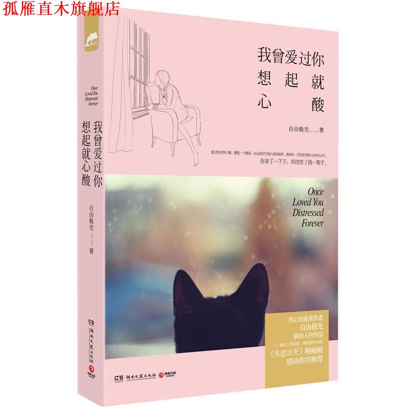 【正版书】 我曾爱过你，想起就心酸 自由极光 湖南文艺出版社