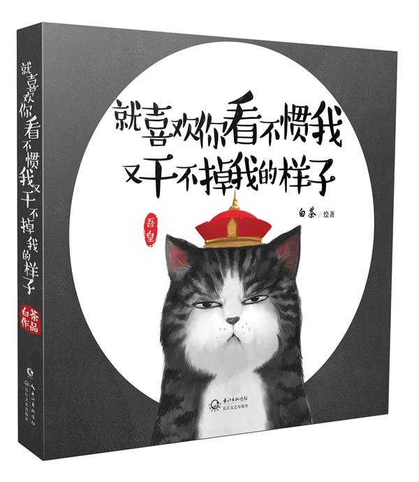 【正版书】 就喜欢你看不惯我又干不掉我的样子 白茶