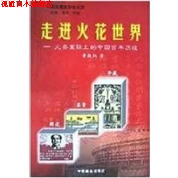 【正版书】 走进火花世界 黄振炳 著 中国商业出版社
