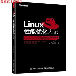 【正版书】 Linux性能优化大师 赵永刚 著 电子工业出版社