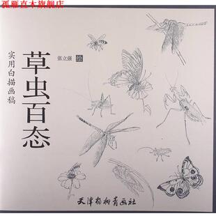 实用白描画稿 草虫百态 张立强 天津杨柳青出版 书 绘 社 正版