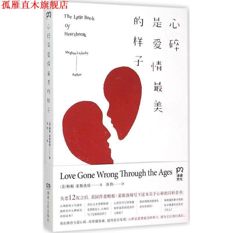 【正版书】 心碎是爱情的样子 [美]梅根·莱斯洛琦 湖南人民出版社