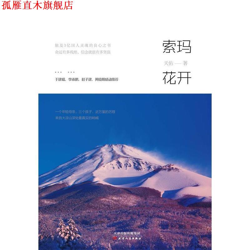 【正版书】 索玛花开 天佑 天津人民出版社
