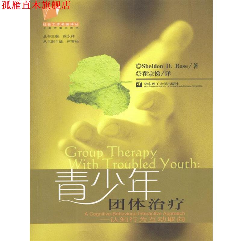 【正版书】 青少年团体 (美)Sheldon D.Rose 著,翟宗悌 译 华东理工大学出版社