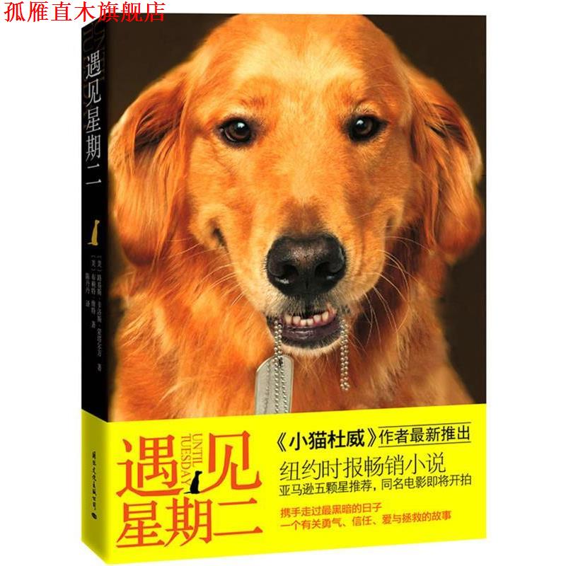 【正版书】 遇见星期二 [美]路易斯 •卡洛斯•蒙塔尔万,[美]布赖特•维特　著　, 陈丹丹 译 国际文化出版公司