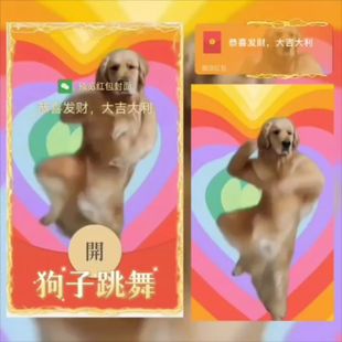 狗子跳舞红包封面vx动态音乐定制2025新款非永久序列号蛇年仪式感