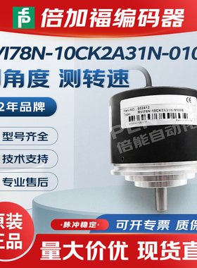 RVI78N-10CK2A31N-01000-00500-00600-00100-01024-02000-03600