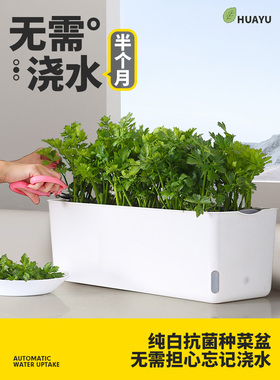 阳台大口径花盆花架子草莓长条种植箱懒人控根盆长方形种菜槽菜盆