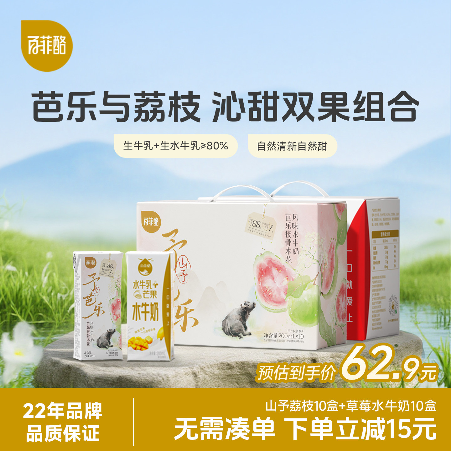 百菲酪芭乐接骨木花水牛奶+草莓水牛奶组合营养学生奶早餐风味乳