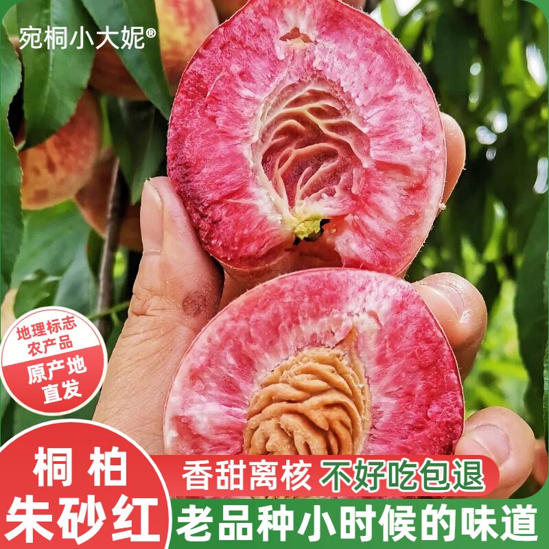 桐柏朱砂红离核血桃红心桃子5斤10斤老品种南阳特产现摘现发正宗