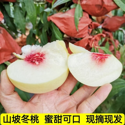 桐柏冬桃大白桃网红丑桃爆炸桃
