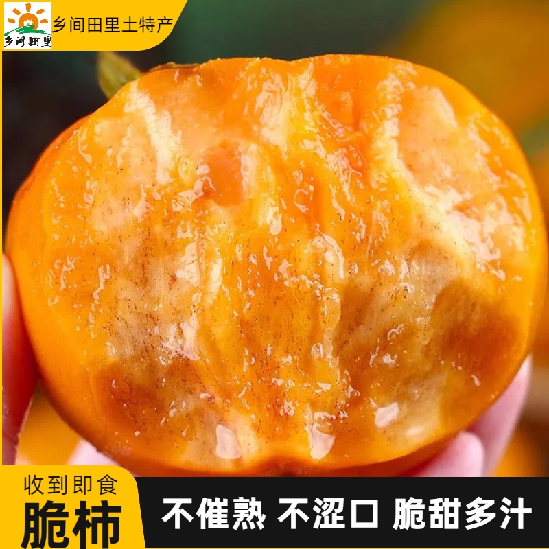 阳丰脆甜柿脆柿无核冰糖心