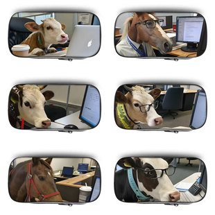 牛马打工人抽象笔袋搞怪小学生铅笔盒2026新款超火文具袋初中生笔盒学生文具盒儿童网红爆款猎奇女男生男孩款