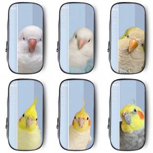 鹦鹉证件照抽象笔袋搞怪小学生铅笔盒2026新款超火文具袋初中生笔盒学生文具盒儿童网红爆款猎奇男孩女生女孩