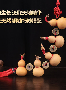 五帝钱门对门葫芦挂件天然小葫芦串门帘对厕所卧室铜钱挂饰装饰帘