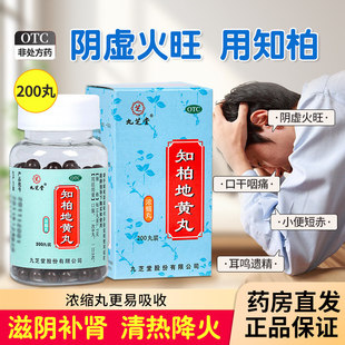 九芝堂知柏地黄丸正品知伯芝伯地黄阴虚火旺内热湿气重滋阴降火全