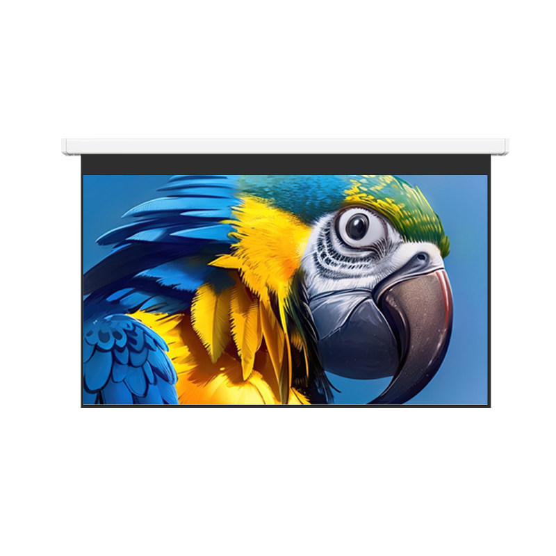 鲸米（JINGMI）电动幕布D5X工程巨幕200英寸300英寸400英寸16:9高清投影幕布办公家用大型场馆投影机幕布