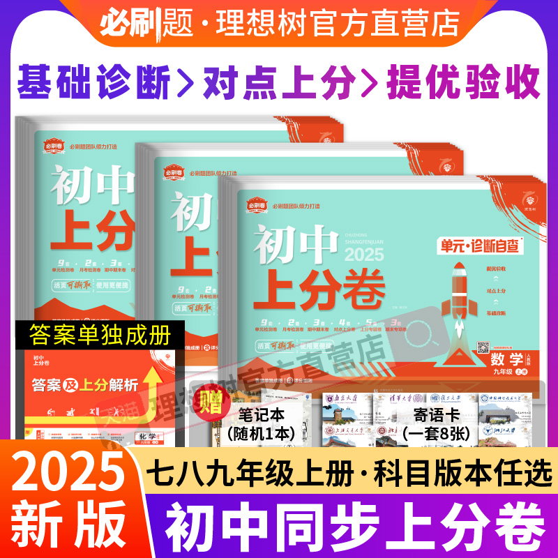 2025初中上分卷必刷題