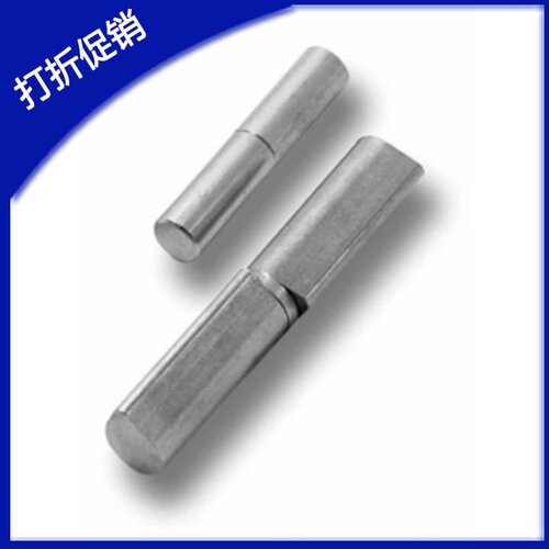 不锈钢铰链转轴德国戴乐