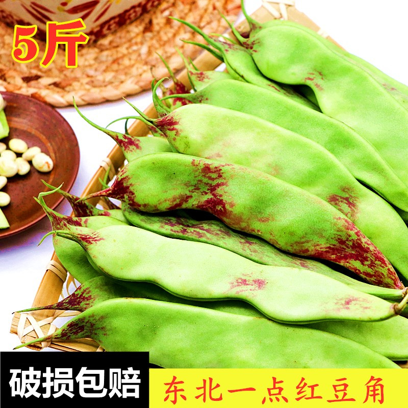 正宗东北一点红宽豆角面油豆角新鲜蔬菜九月青现摘豆角包邮5斤