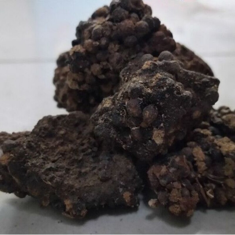 中药材  血灵脂  别名:猴结  猴竭  血灵芝  乌猿结  1个600克