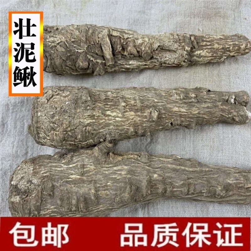 中药材 壮泥鳅 状泥鳅 肥泥鳅 云南苗家特产 泡酒料 500克 统