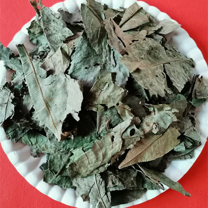 中药材  南非叶  别称:药王叶  苦茶叶  500克  统  无硫