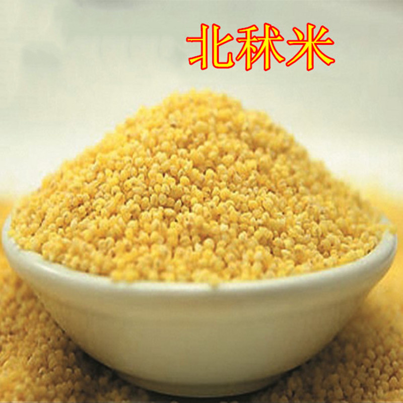 中药材  北秫米  别名:粟谷  黄米  糯粟  黄糯  500克  统