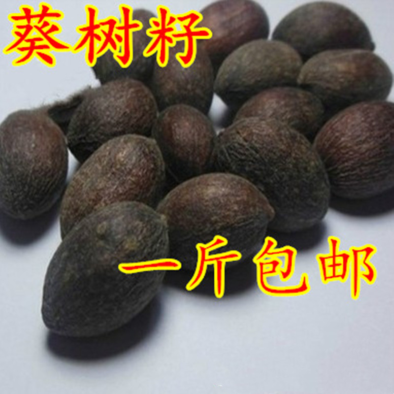 中药材  葵树籽  别名:葵树子  蒲葵子  葵扇籽  500g克  统