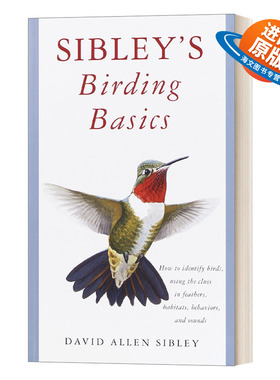 英文原版 Sibley's Birding Basics Sibley Guides 西布利观鸟指南 观鸟者的宝典 英文版 进口英语原版书籍