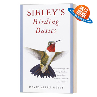 英文版 书籍 Birding 西布利观鸟指南 观鸟者 Guides Basics 进口英语原版 英文原版 宝典 Sibley