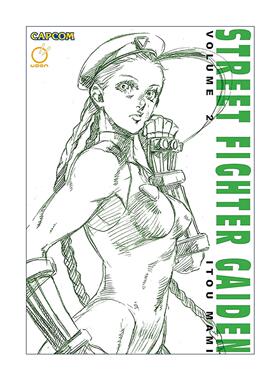 英文原版 Street Fighter Gaiden Volume 2 街头霸王 外传卷二 英文版 进口英语原版书籍