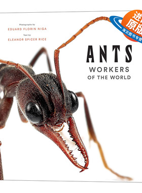 英文原版 Ants Workers of the World 蚂蚁 世界工人 科普启蒙艺术精装画册 英文版 进口英语原版书籍