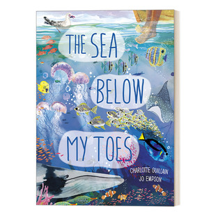 英文原版 The Sea Below My Toes 海底有什么呢？超长拉页科普绘本 英文版 进口英语原版书籍