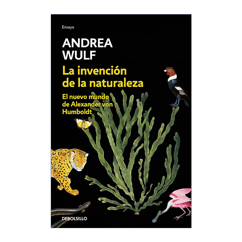 原版 La invencion de la naturaleza The Invention of Nature 创造自然 亚历山大·冯·洪堡的科学发现之旅 西班牙语版