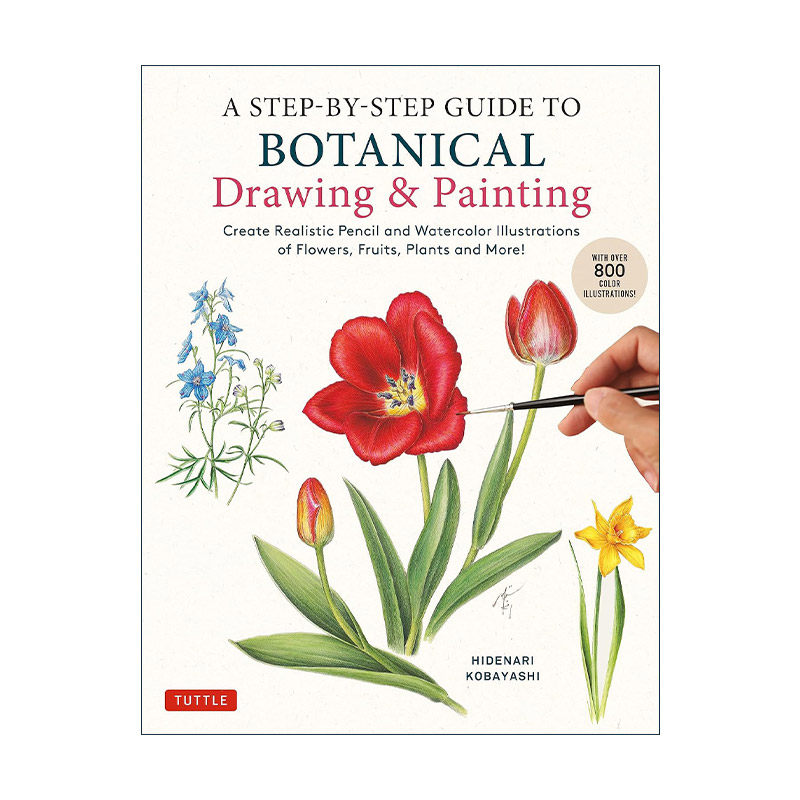 英文原版 A Step-by-Step Guide to Botanical Drawing and Painting 植物绘画分步指南 蔬菜水果花卉 铅笔水彩插画技巧