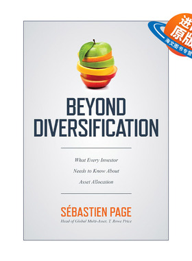 英文原版 Beyond Diversification 多样化之外 精装 英文版 进口英语原版书籍