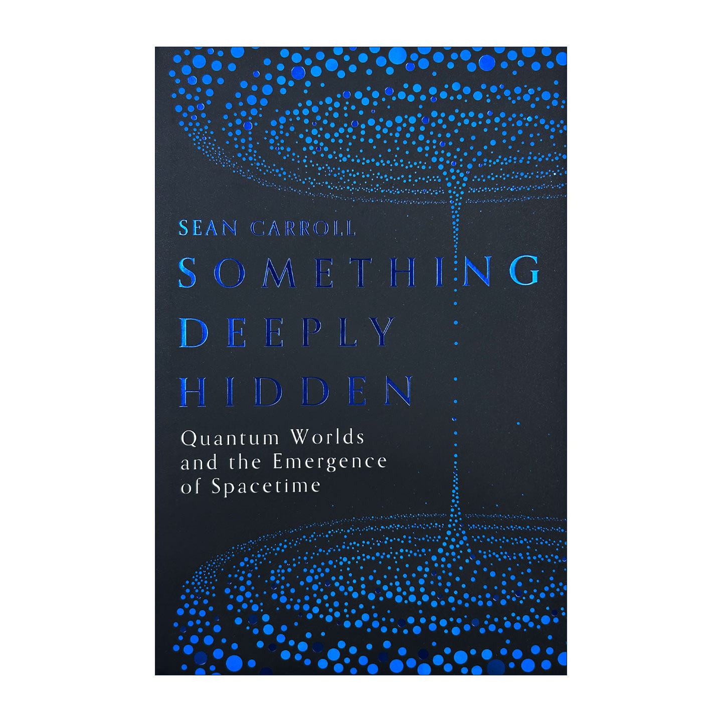 深藏的东西 英文原版 精装 Something Deeply Hidden 量子世界和时空的出现 英文版进口原版英语书籍