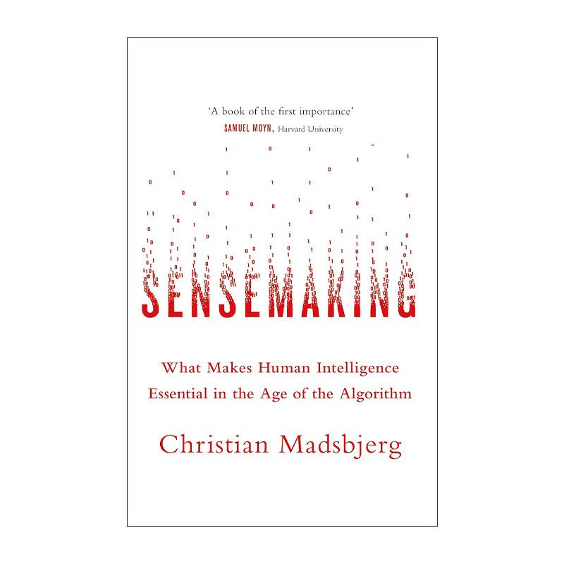 英文原版 Sensemaking 意会 算法时代的人文力量 英文版 进口英语原版书籍