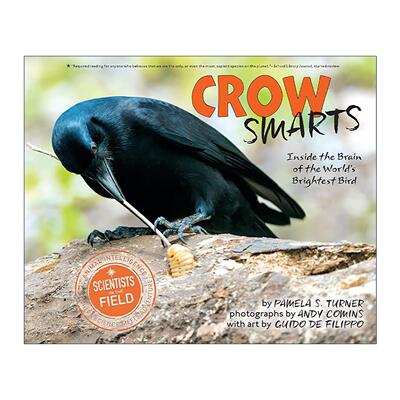 英文原版 Crow Smarts 聪慧的乌鸦 聪明鸟的大脑 动物纪实科普 号角杂志书单 银行街年度童书佳选 英文版 进口英语原版书籍