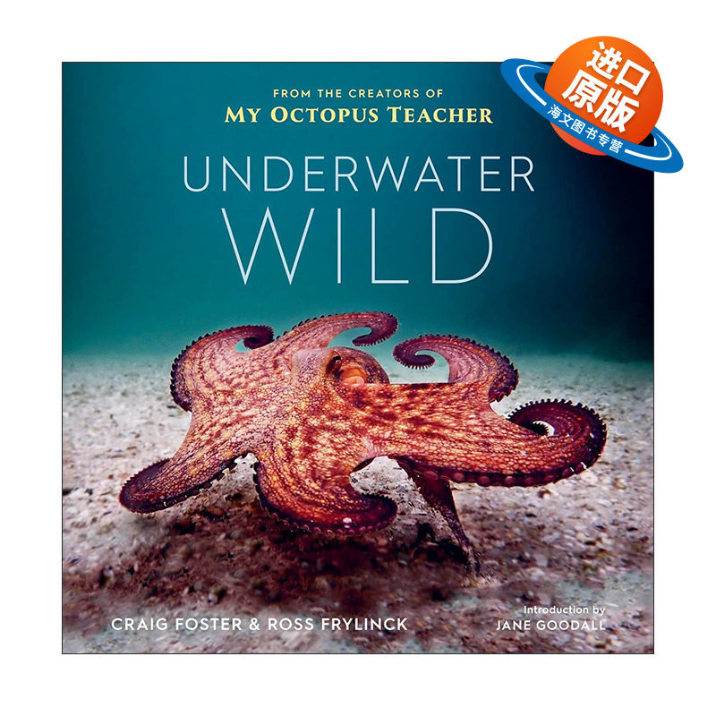 英文原版 Underwater Wild 狂野蔚蓝 章鱼老师的非凡世界 精装 Netflix热门同名纪录片幕后制作人Craig Foster 进口英语原版书籍