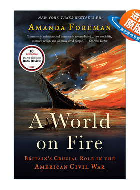 英文原版 A World on Fire 燃烧的世界 英国在美国内战中的关键作用 历史 Amanda Foreman 英文版 进口英语原版书籍