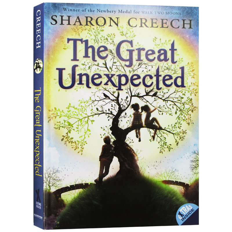 奇妙的意外 英文原版 the great unexpected 英文版 儿童文学小说