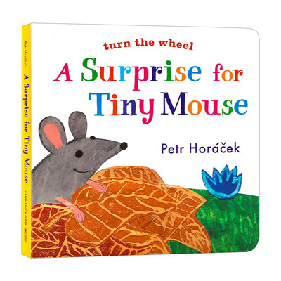 英文原版 A Surprise for Tiny Mouse 给小老鼠的惊喜 互动概念绘本纸板书 Petr Horacek 英文版 进口英语原版书籍儿童外文书