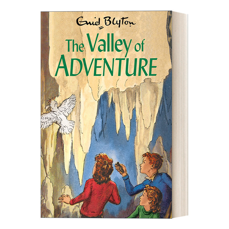 英文原版 The Valley of Adventure 伊妮德·布莱顿 少年冒险团系列3 英文版 进口英语原版书籍