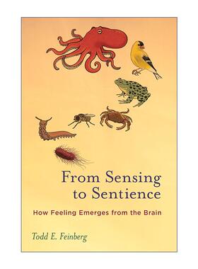 英文原版 From Sensing to Sentience The MIT Press 从感觉到感知 感觉如何从大脑中产生 认知神经科学 Todd E. Feinberg 英文版