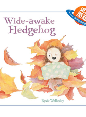 英文原版 Wide-Awake Hedgehog 小刺猬艾萨克不冬眠 英国插画师Rosie Wellesley绘本 英文版 进口英语原版书籍