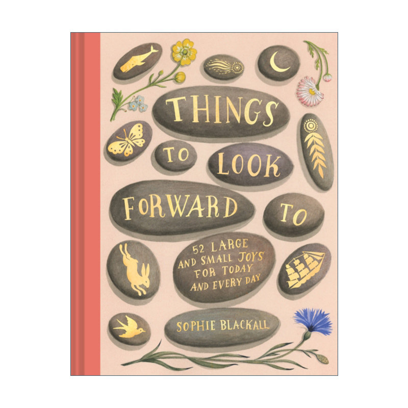 期待的事 52种人生快乐的事集 精装 凯迪克奖插画家 英文版 进口英语