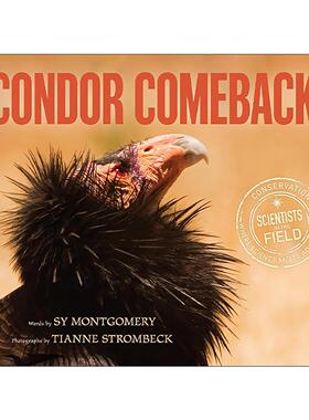 英文原版 Condor Comeback 秃鹫 动物纪实科普 英文版 进口英语原版书籍