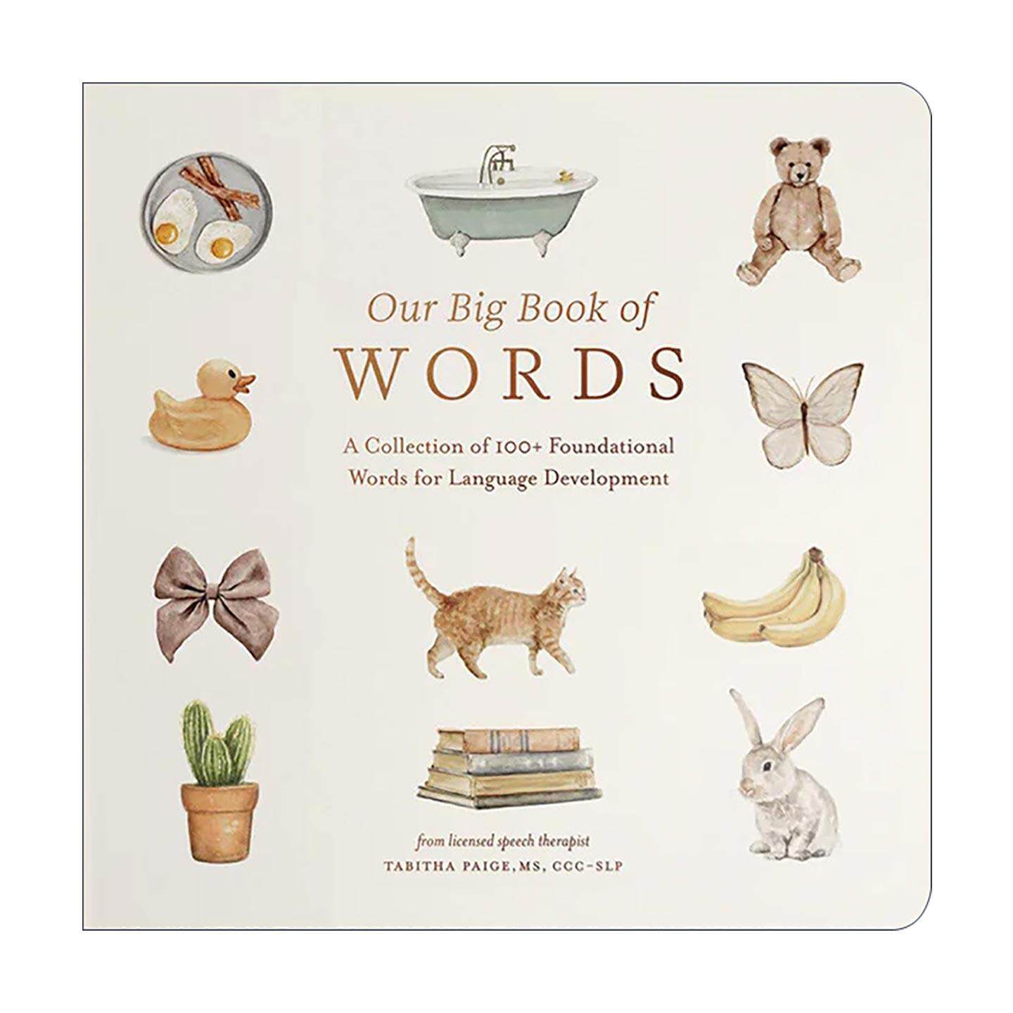 英文原版 Our Big Book of First Words 启蒙词汇大书 100多个助于儿童语言发展的基础单词集 纸板书 儿童绘本 进口英语原版书籍